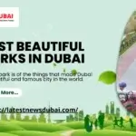 Best beautiful parks in Dubai