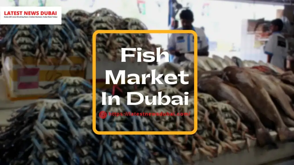 Fish Market Dubai