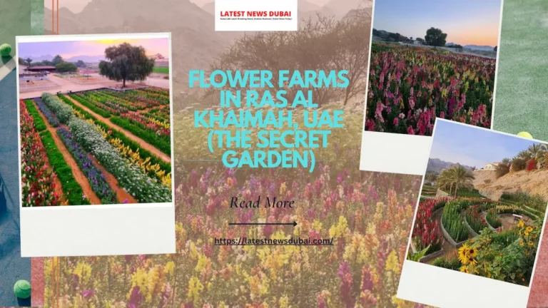 Flower Farms in Ras Al Khaimah, UAE (The Secret Garden)